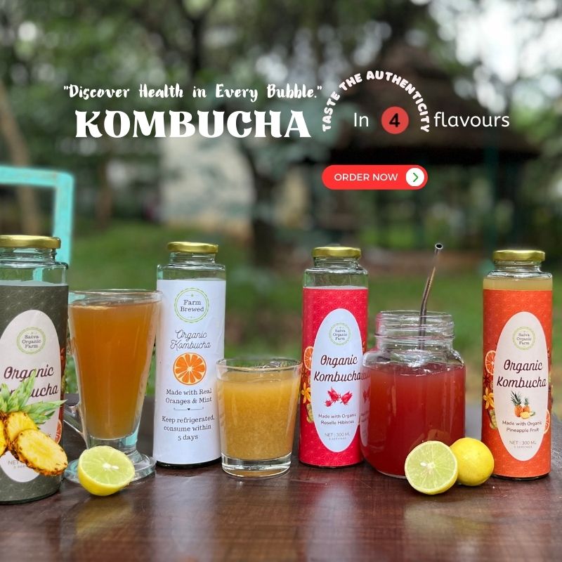 best organic kombucha in bangalore | buy online at Best price 