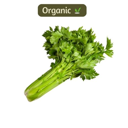 Celery from Farmer's Nest Organics