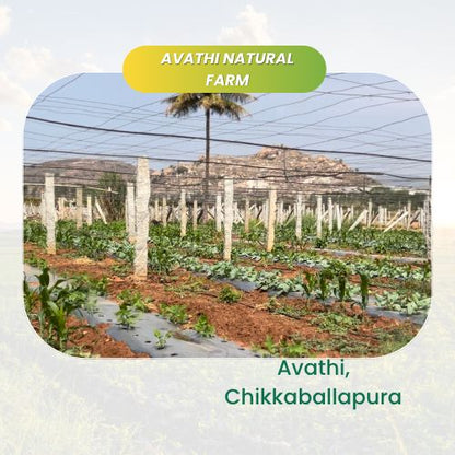 organic Avathi Natural Farm - Online store for organic products in Bangalore - Farm Tours | Farm Visits