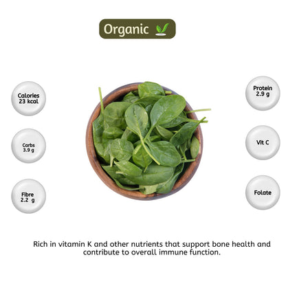 organic Baby Spinach - Online store for organic products in Bangalore - Exotic vegetables | Exotics