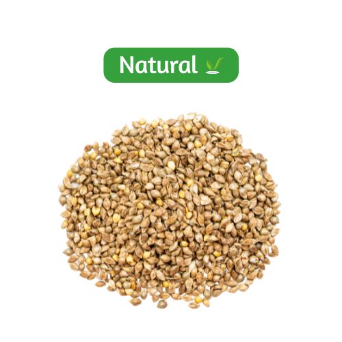 organic Barnyard Millet - Online store for organic products in Bangalore - Grains | Groceries