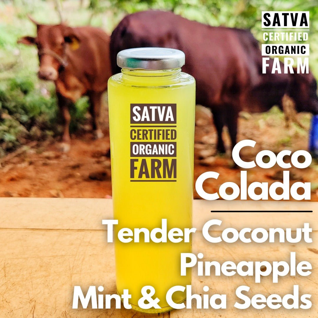 organic Coco Colada - Online store for organic products in Bangalore - Beverages |