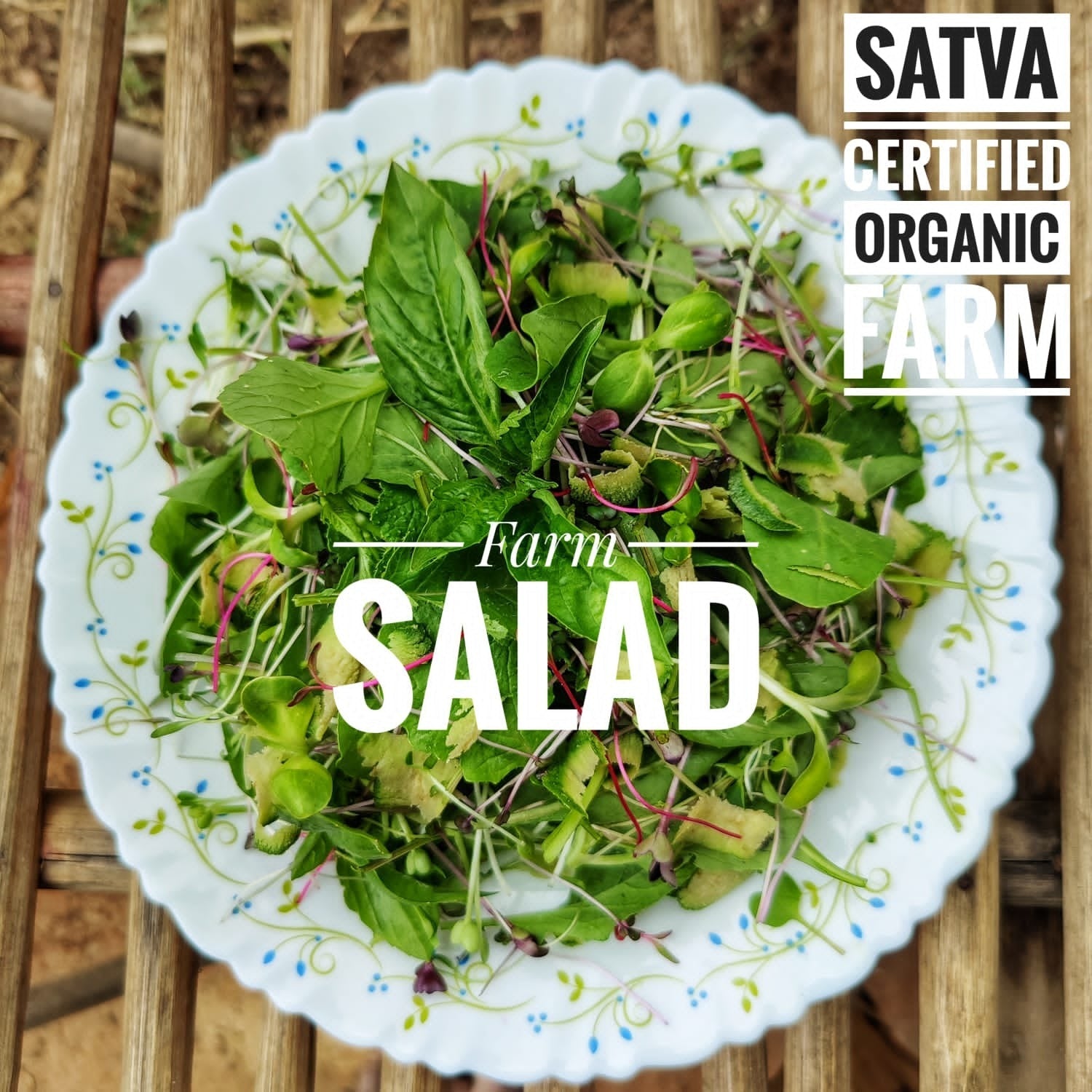 organic Farm Salad With Microgreens - Online store for organic products in Bangalore - Dips | Microgreens