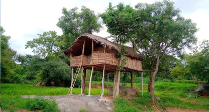 organic Farm Stay@Nature Inspires - Chiguru Ecospace - Online store for organic products in Bangalore - Farm Tours | Farm Visits