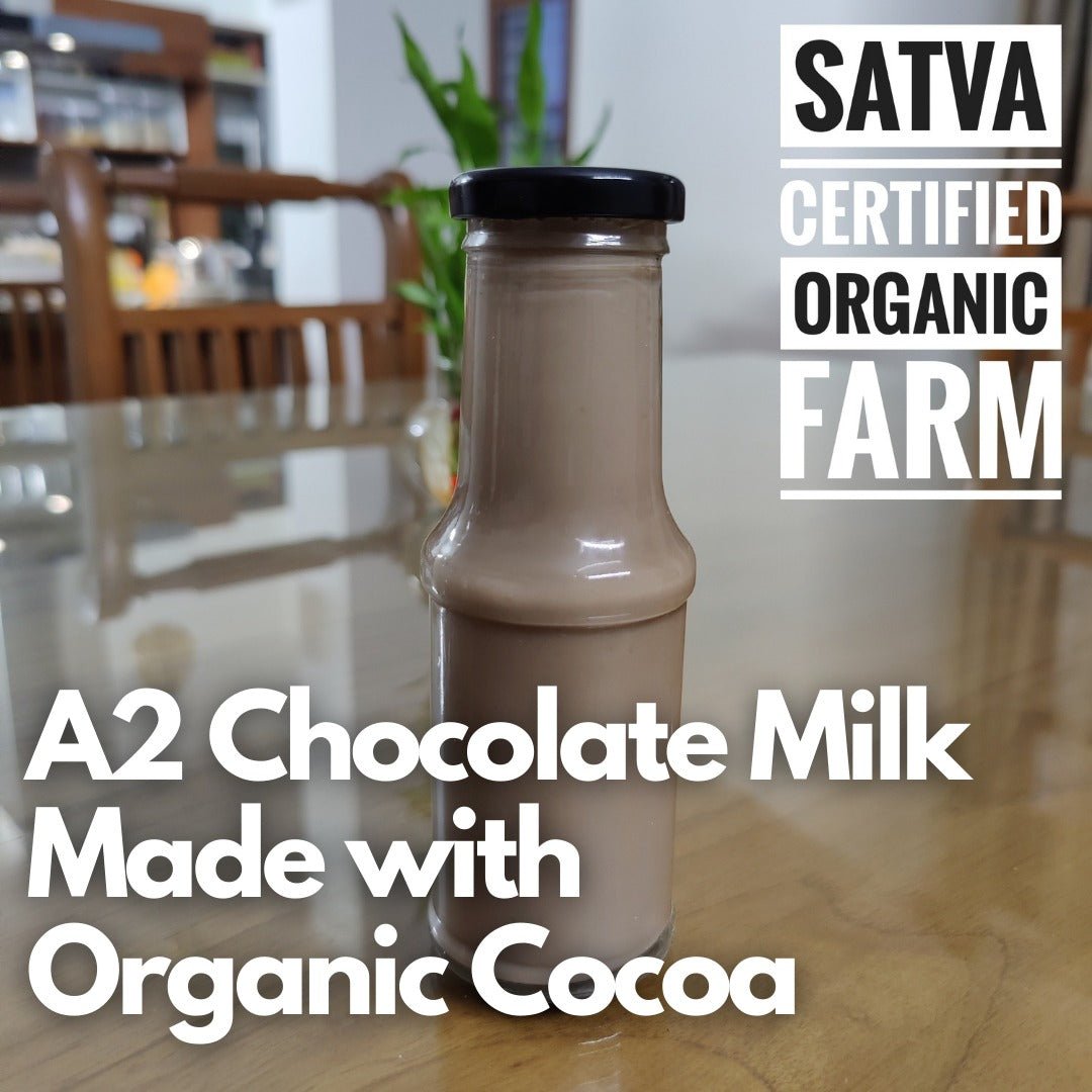 organic Fresh A2 Chocolate Milk - Online store for organic products in Bangalore - Native Dairy | Native Dairy & Eggs