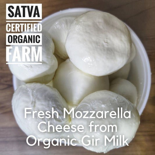 organic Fresh Handcrafted A2 Mozzarella - Online store for organic products in Bangalore - Native Dairy | Native Dairy & Eggs