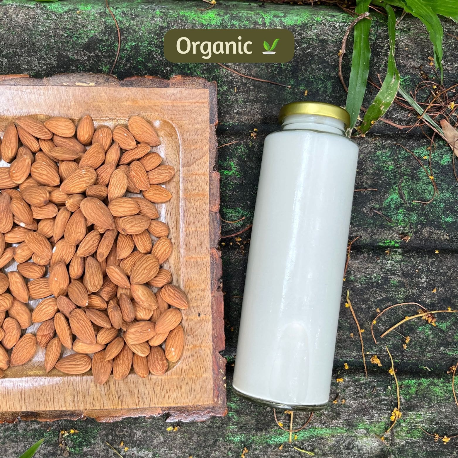 organic Almond Milk (Plain)- Freshly Made - Online store for organic products in Bangalore - Beverages | Kombucha