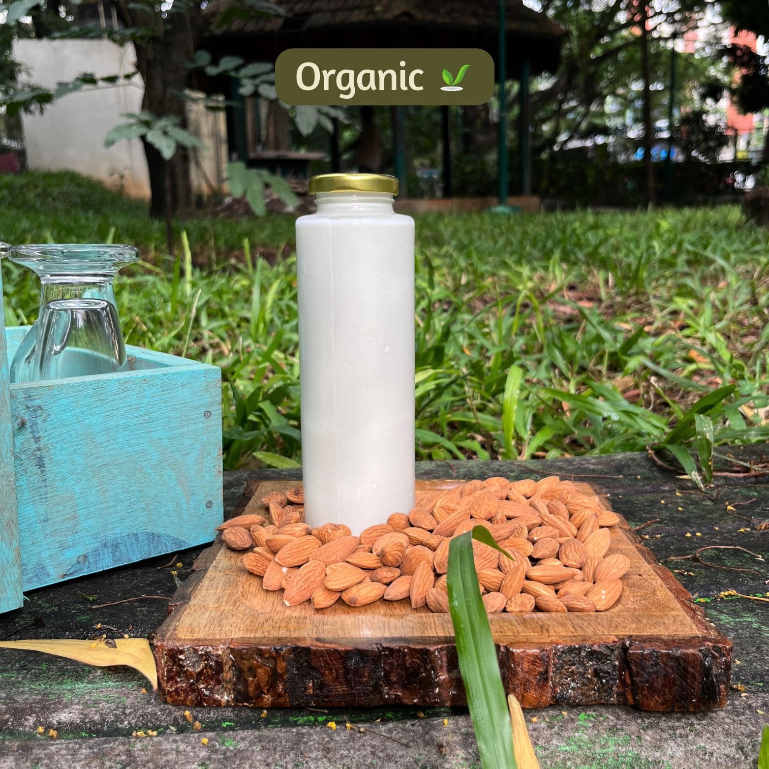 organic Almond Milk (Plain)- Freshly Made - Online store for organic products in Bangalore - Beverages | Kombucha