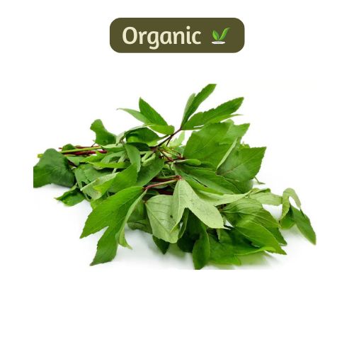 organic Gongura - Online store for organic products in Bangalore - Leafy |
