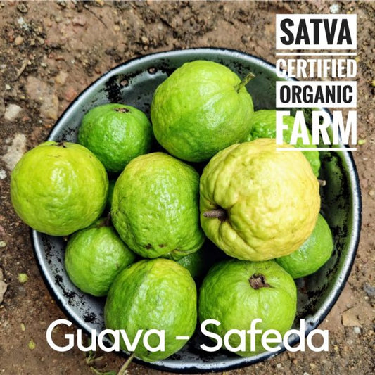 organic Organic White Guava - Online store for organic products in Bangalore - Fruits | Seebe