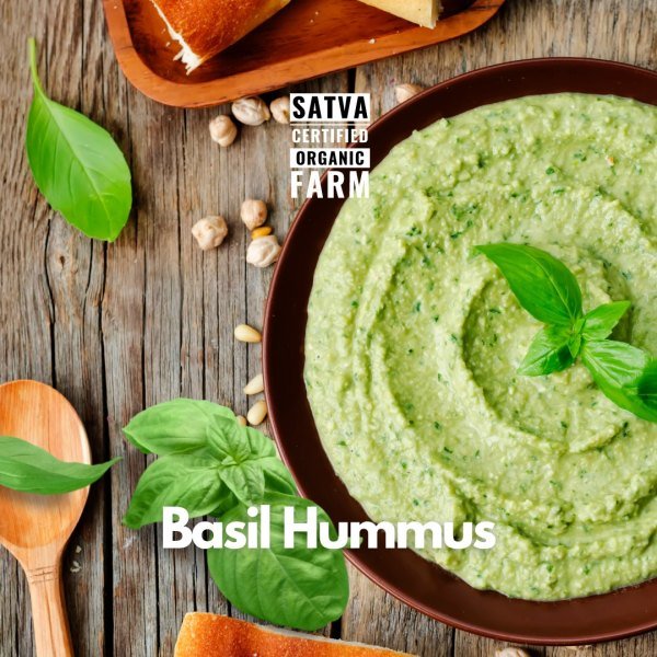 organic Hummus Basil - Online store for organic products in Bangalore - Dips | Microgreens