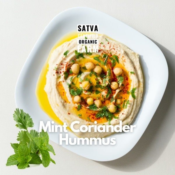 organic Hummus Mint Corainder - Online store for organic products in Bangalore - Dips | Groceries