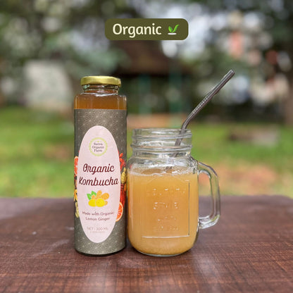 organic Kombucha Lemon Ginger - Online store for organic products in Bangalore - Beverages | Kombucha