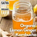 organic Kombucha Lemon Ginger - Online store for organic products in Bangalore - Beverages | Kombucha