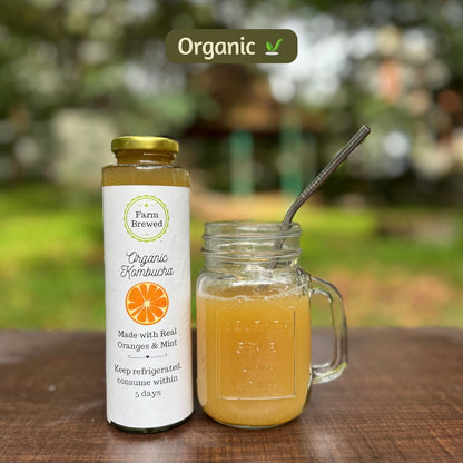 organic Kombucha Orange Mint - Online store for organic products in Bangalore - Beverages | Kombucha