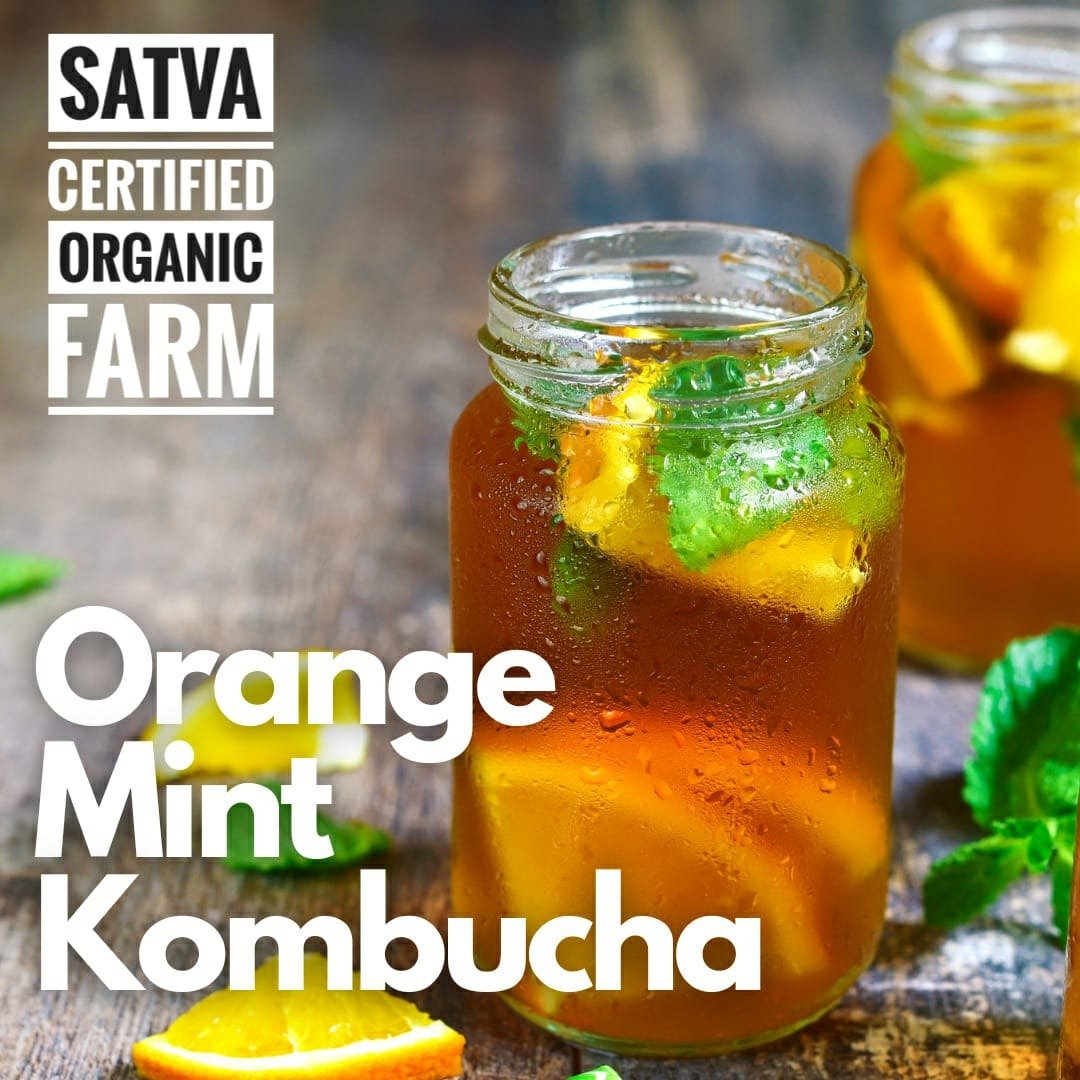 organic Kombucha Orange Mint - Online store for organic products in Bangalore - Beverages | Kombucha