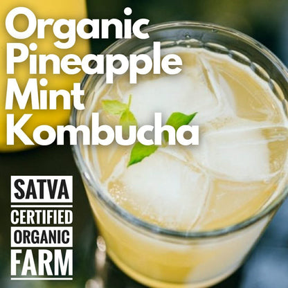 organic Kombucha Pineapple Mint - Online store for organic products in Bangalore - Beverages | Kombucha