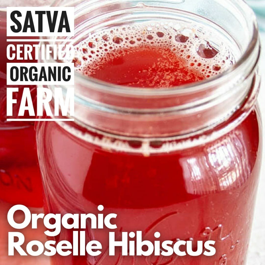 organic Kombucha Roselle Hibiscus - Online store for organic products in Bangalore - Beverages | Kombucha