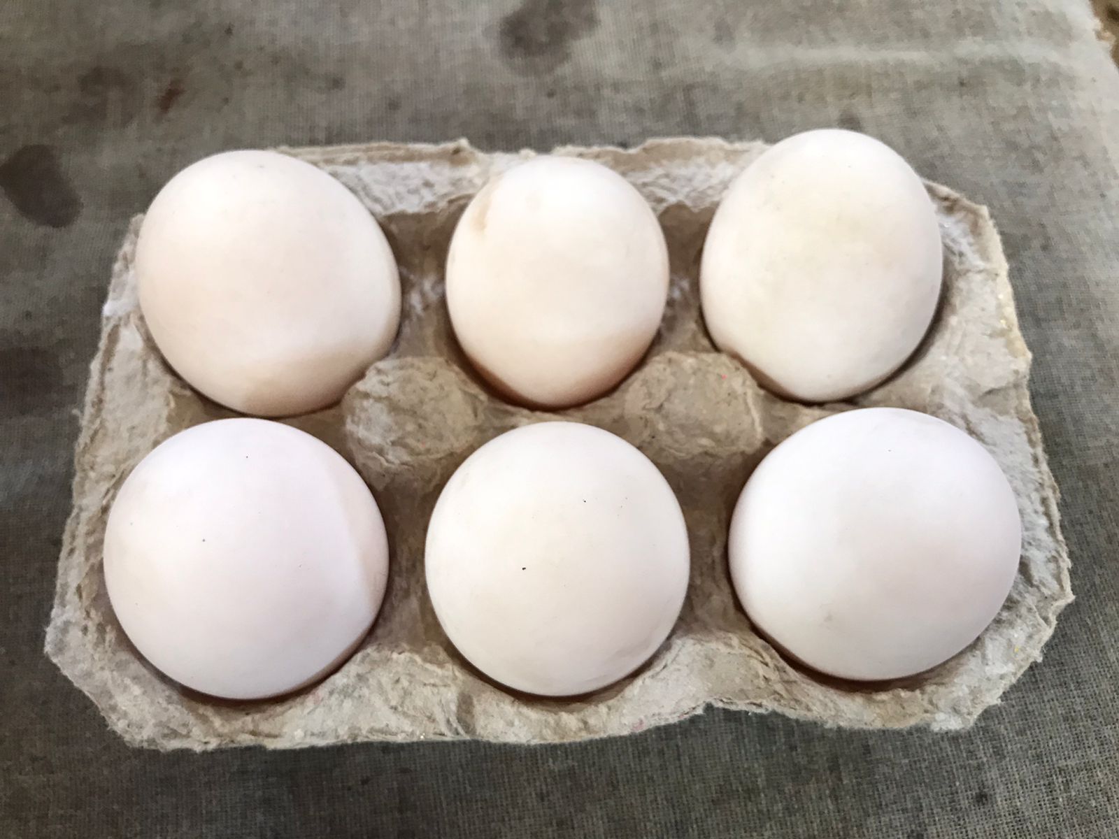 Duck Eggs from Sarjapura Curries