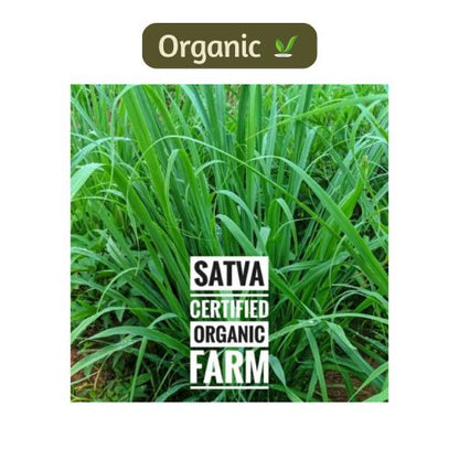 organic Lemon Grass - Online store for organic products in Bangalore - Leafy | Leafy & Herbs