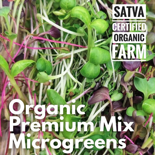 organic Microgreens Premium Mix - Online store for organic products in Bangalore - Dips | Greens