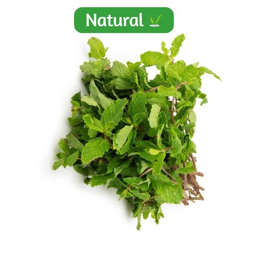 organic Mint - Online store for organic products in Bangalore - Leafy | Leafy & Herbs