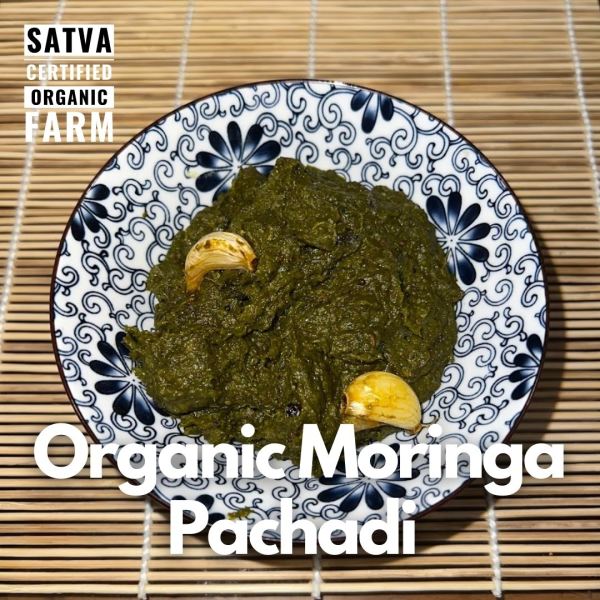 organic Moringa Pachadi - Online store for organic products in Bangalore - Groceries |