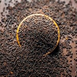 organic Mustard Seeds - Online store for organic products in Bangalore - Groceries | Groceries 1