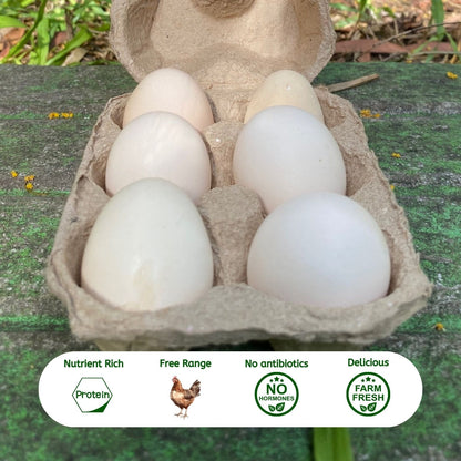 organic Nati Eggs - Online store for organic products in Bangalore - Native Dairy & Eggs |