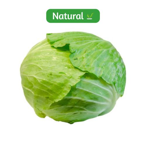 organic Cabbage - Online store for organic products in Bangalore - Vegetables |