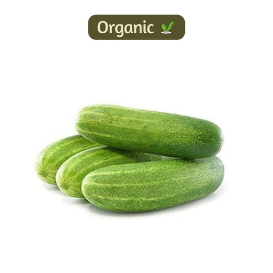 organic Cucumber - Online store for organic products in Bangalore - Vegetables |