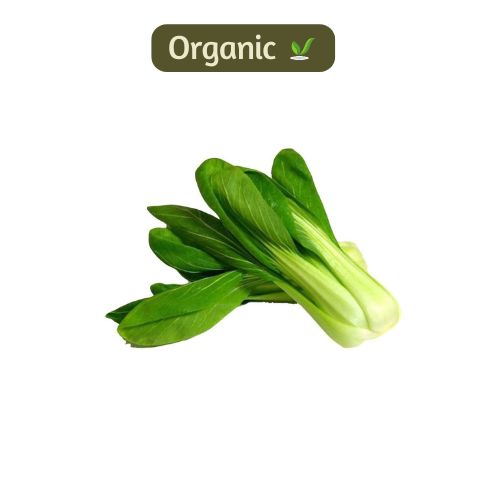 organic Pak Choy - Online store for organic products in Bangalore - |