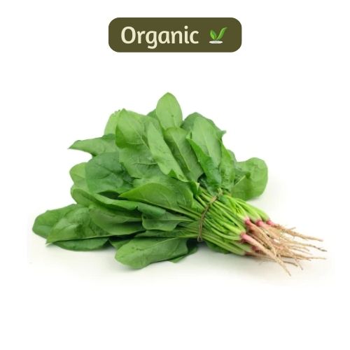 organic Palak - Online store for organic products in Bangalore - Leafy | Leafy & Herbs