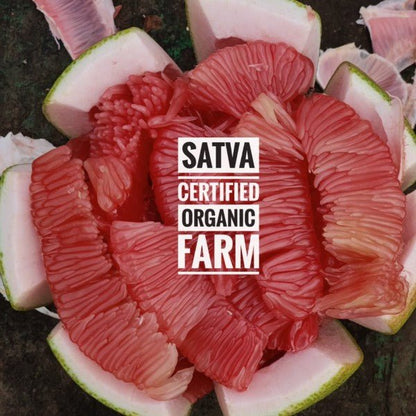 organic Peeled Pomelo - Online store for organic products in Bangalore - Fruits |