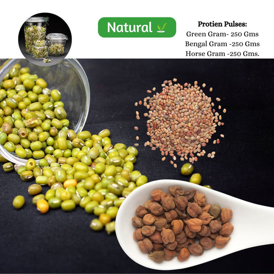organic Protein Pulses Combo - Online store for organic products in Bangalore - COMBOS |