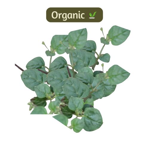 organic Punarnava Leaves - Online store for organic products in Bangalore - Leafy |