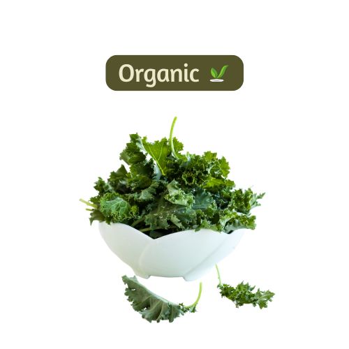 organic Red Russain Kale - Online store for organic products in Bangalore - Exotic vegetables | Exotics