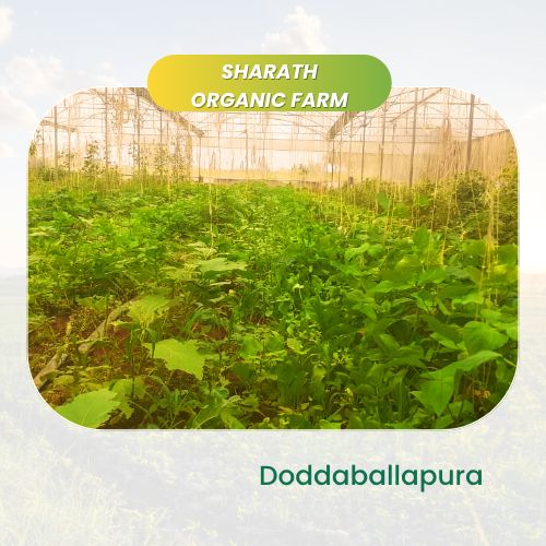organic Sharath Organic Farm - Online store for organic products in Bangalore - |