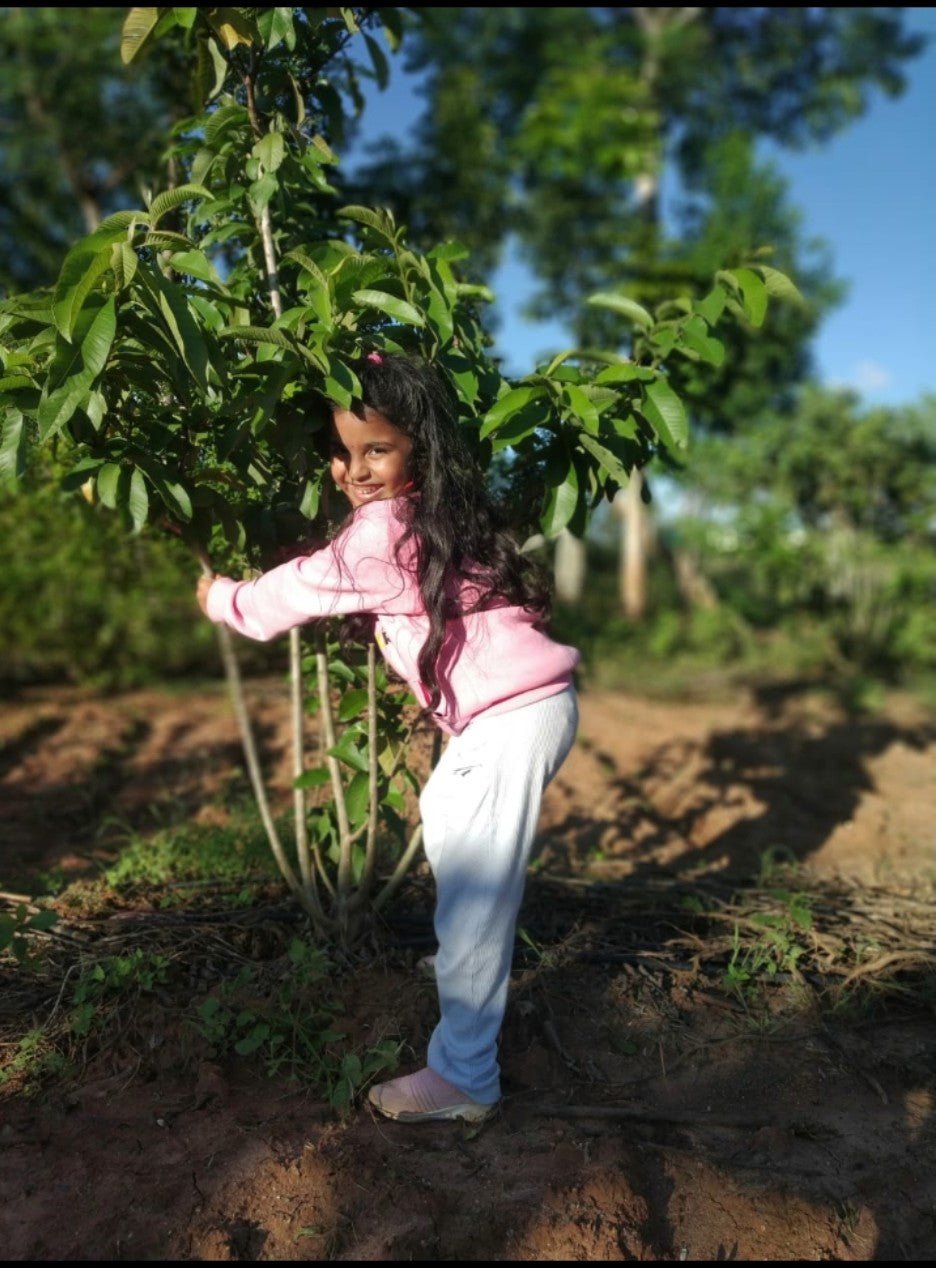 organic SNS Organic Farm Stay(Day Stay) - Online store for organic products in Bangalore - Farm Tours | Farm Visits