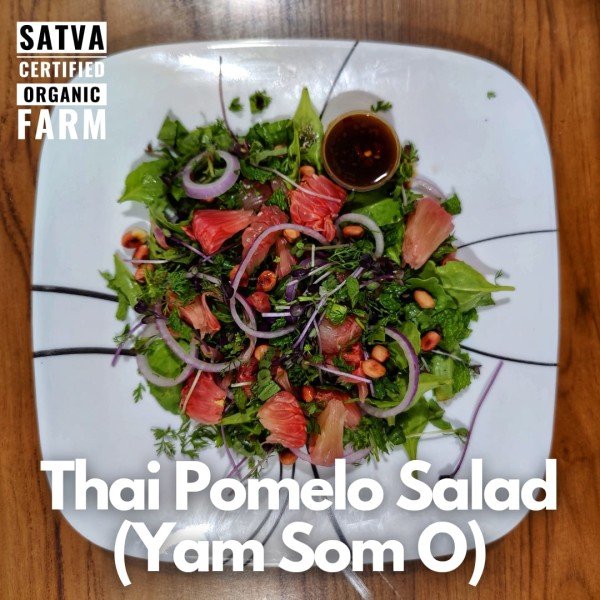 organic Thai Pomelo Salad - Online store for organic products in Bangalore - Dips | Microgreens