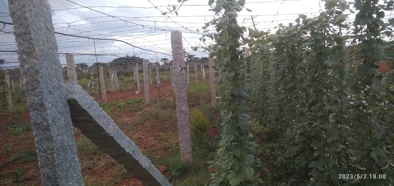 Farmer Visits – Organic Tap